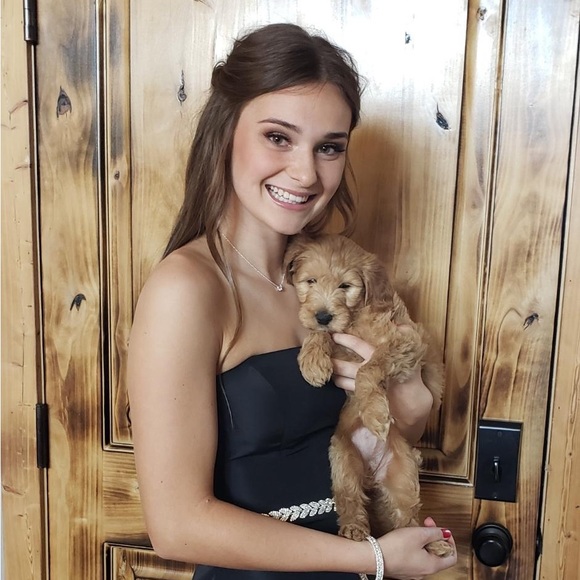 Meet your Posher, Elly - Picture 1 of 1